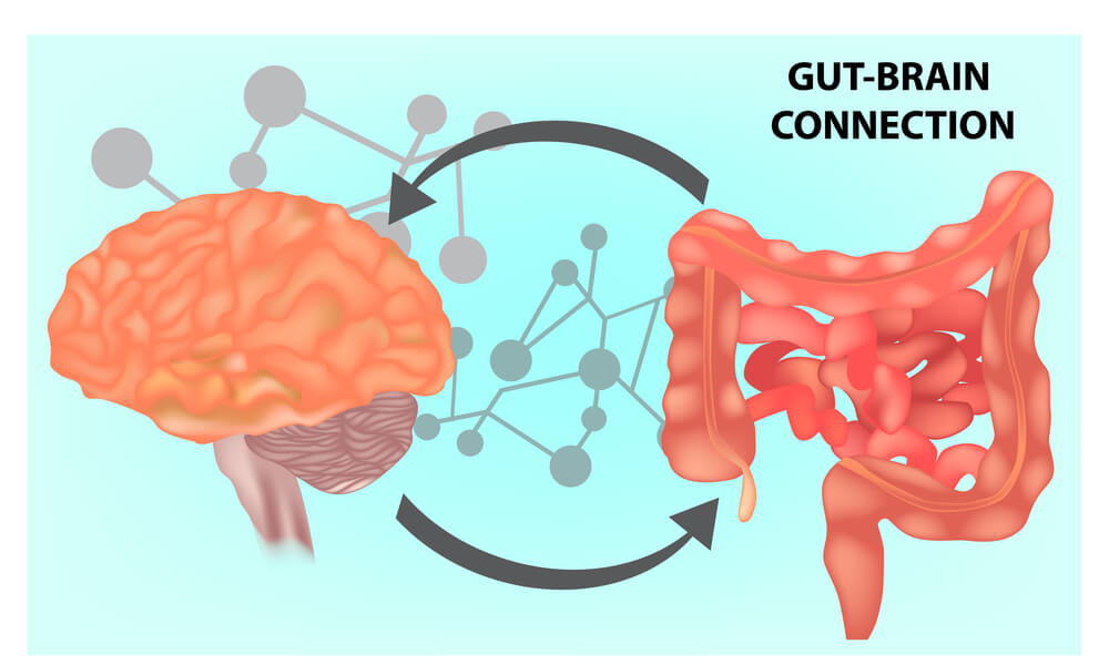 Gut-Brain Connection