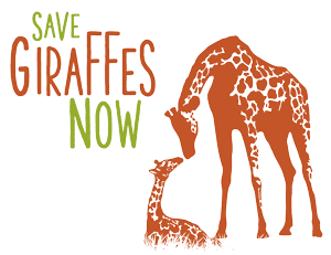 What Else You Can Do | Save Giraffes Now | Nonprofit Organization