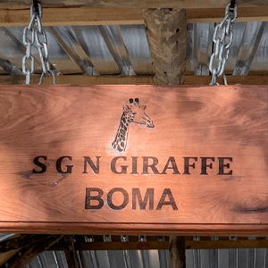 save giraffe boma