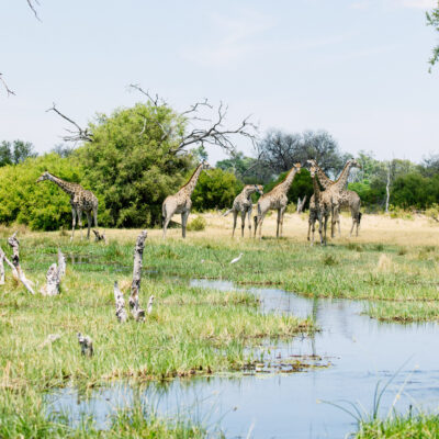 Botswana 2018