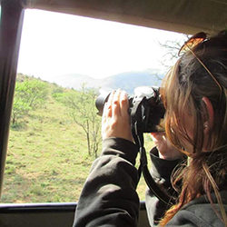 South African Giraffe Rapid Assessment