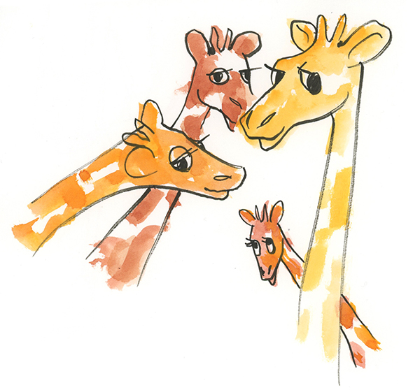 Giraffes Posing for Camera drawing by Joan Chiverton