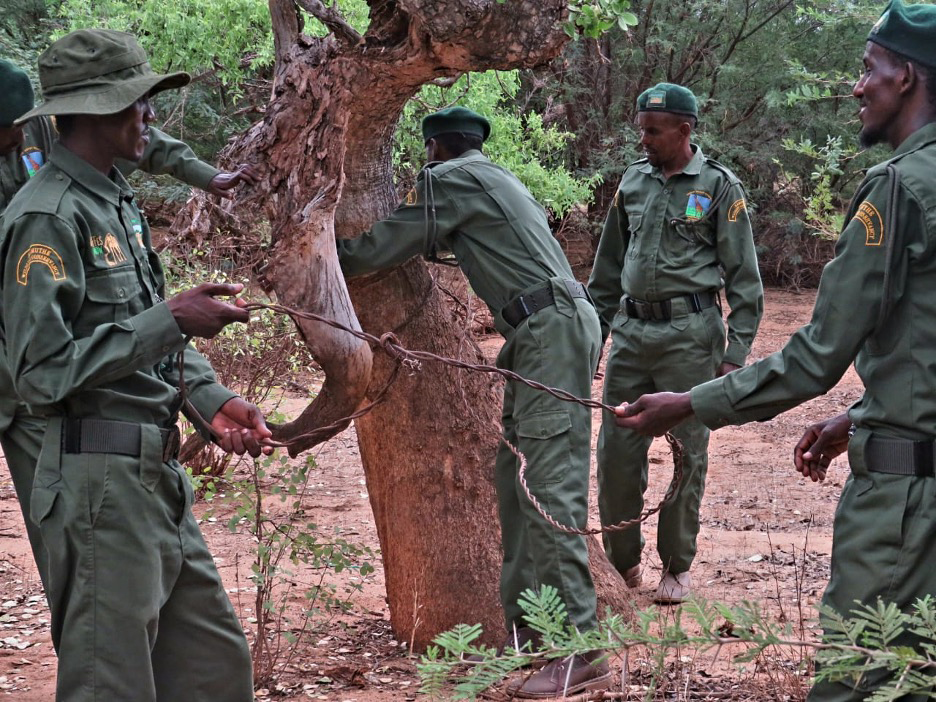 Kamuthe Conservancy