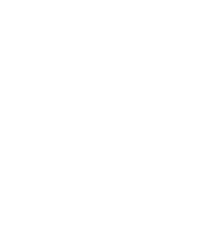 values-inc